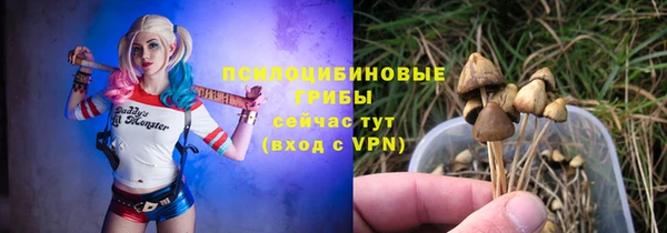 синтетический гашиш Бородино