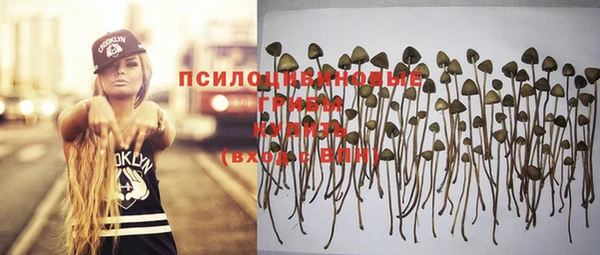 сатива Бугульма