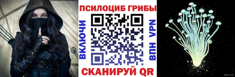 Купить  Горбатов  Галлюциногенные грибы мицелий 