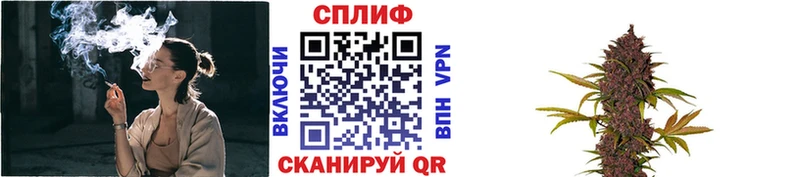 Бошки марихуана MAZAR  Купить где  Горбатов 